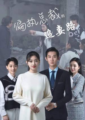 偏执总裁的追妻路